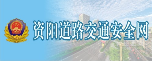 大鸡巴插美女资阳道路交通安全网